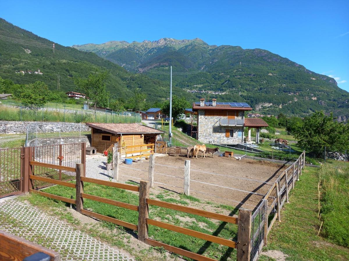 Azienda Agricola Agriturismo I Sei Petali Capo di Ponte Exteriör bild