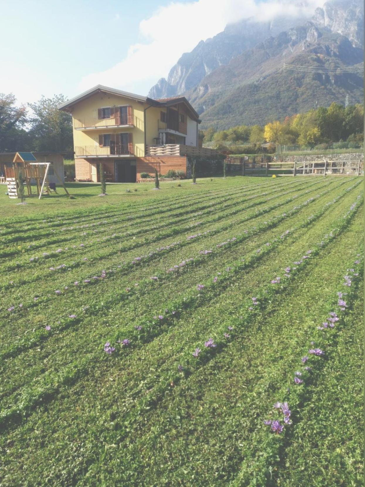 Azienda Agricola Agriturismo I Sei Petali Capo di Ponte Exteriör bild
